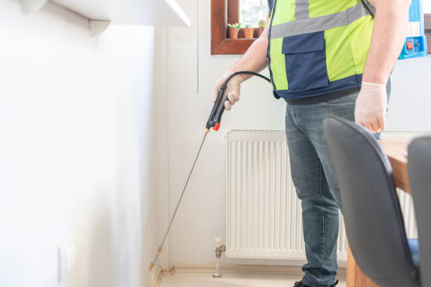 Best Affordable Pest Control Services  in Hughes Springs, TX