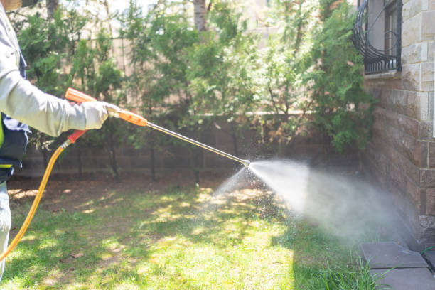 Best Wildlife Control Services  in Hughes Springs, TX